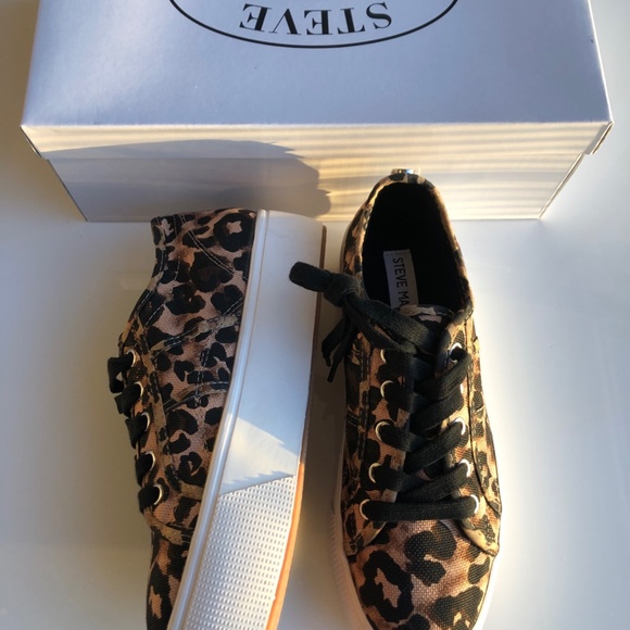 NEW⭐️⭐️⭐️STEVE MADDEN PLATFORM LEOPARD SNEAKERS - Picture 6 of 8